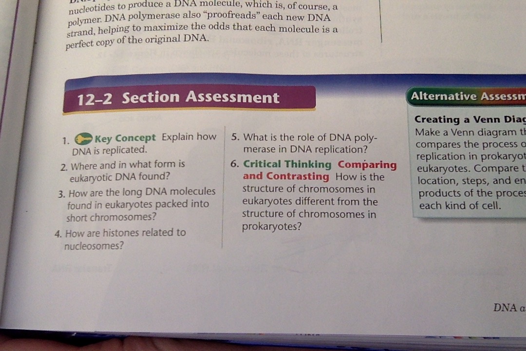 bio2.jpg