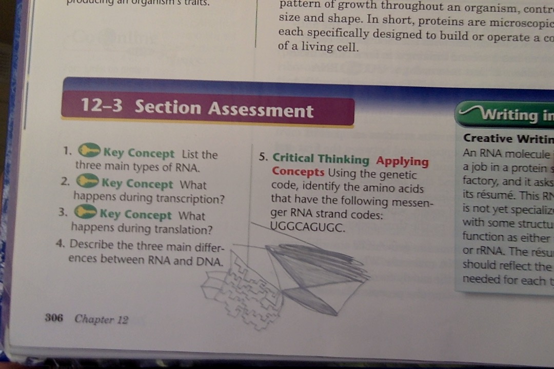bio3.jpg