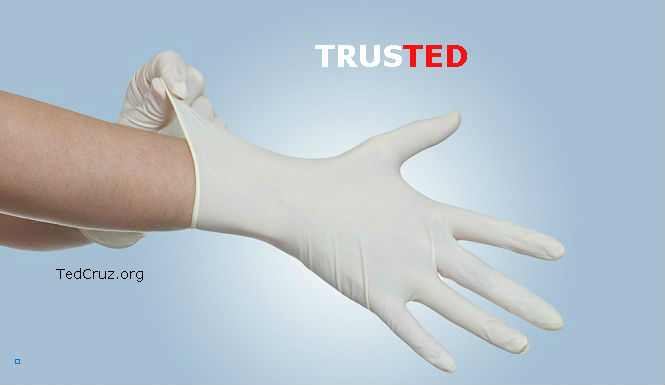 Trusted ted cruz probe