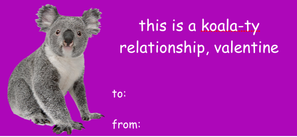 koala-ty relationship valentine