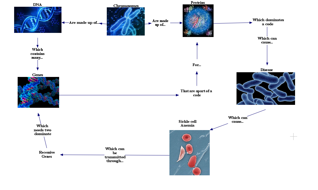3.3.1 Concept map