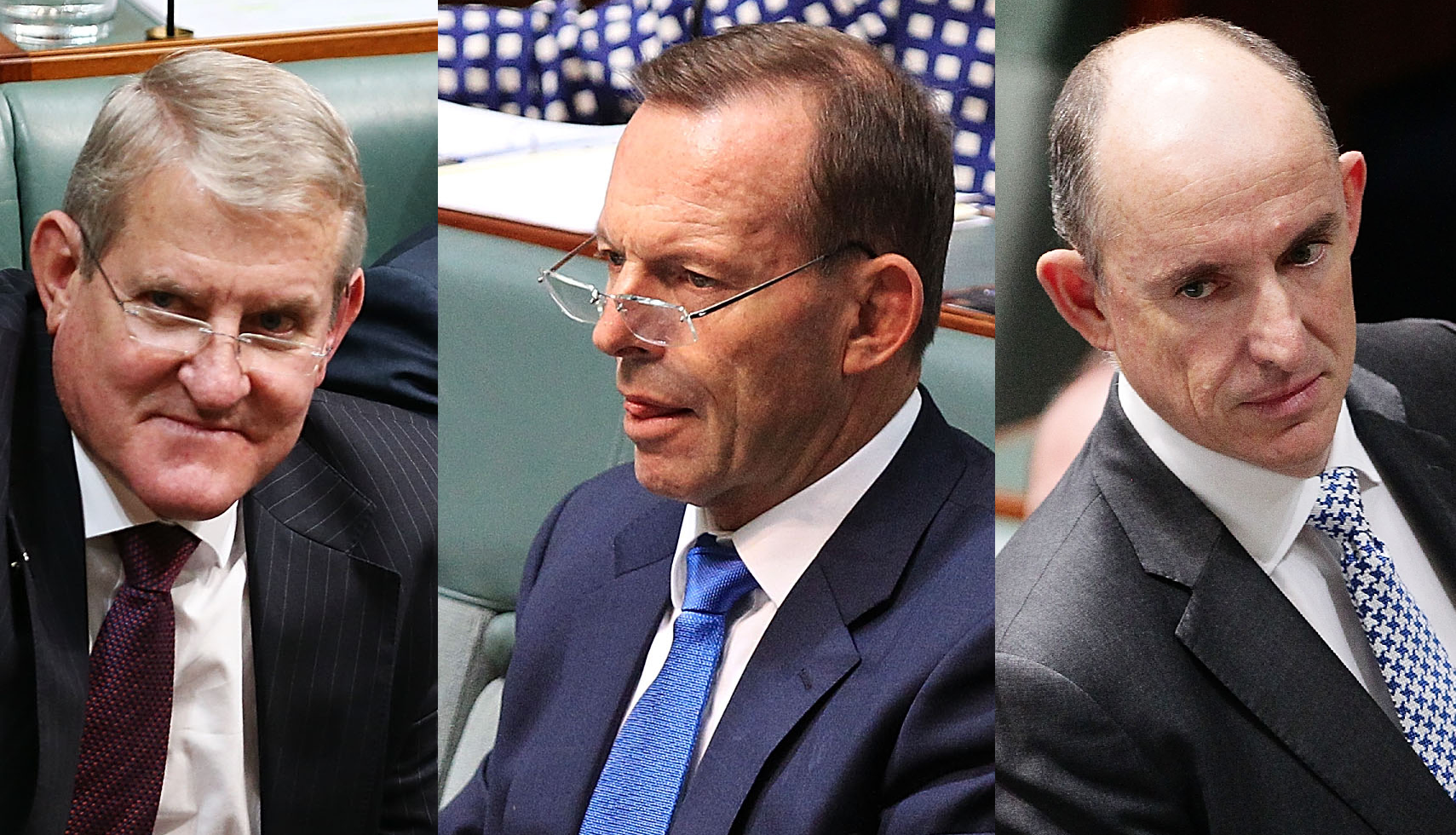 aussies_mp.png