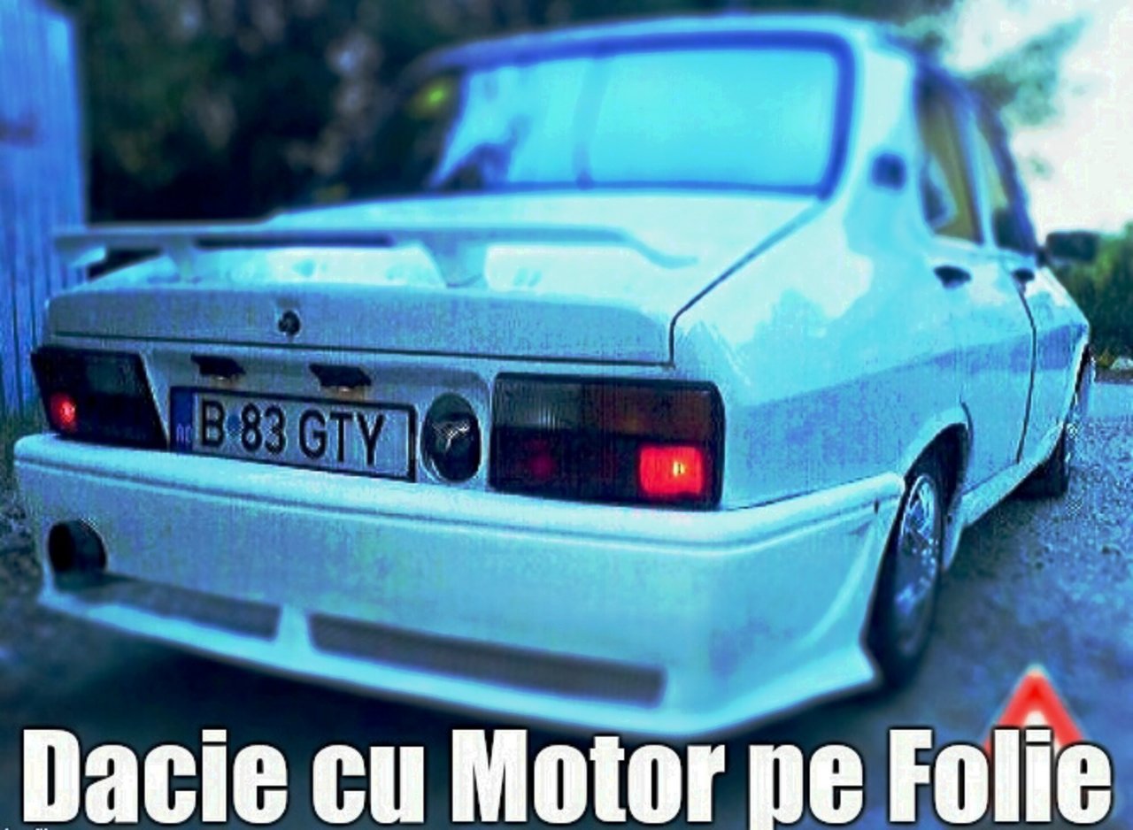 Tibi_GTY