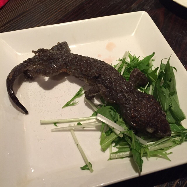 friedlizarddish.jpg