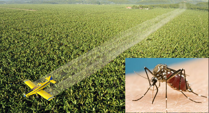 Zikapesticide.jpg
