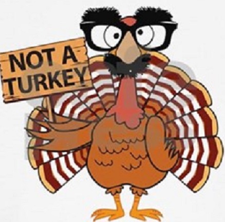 turkey1