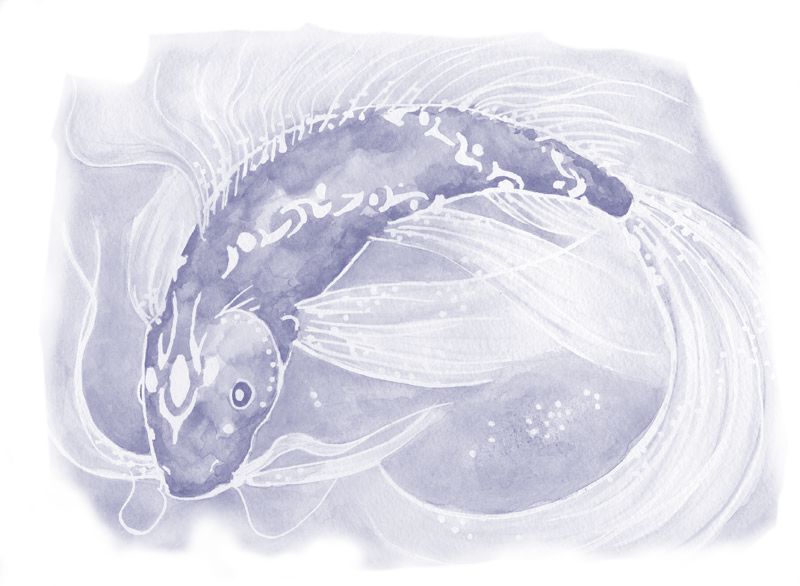 fishy.jpg