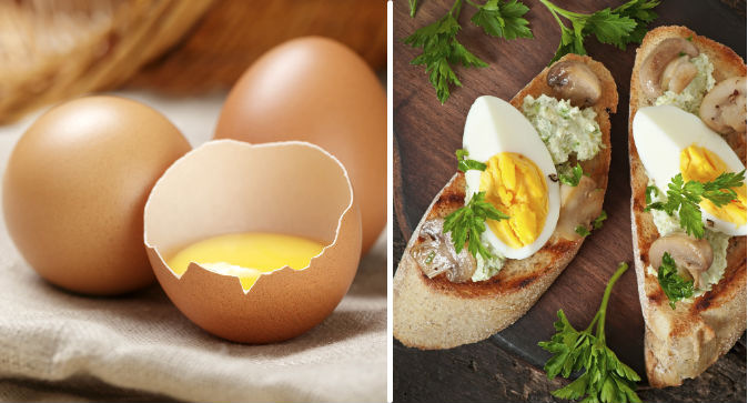 Egglimit.jpg