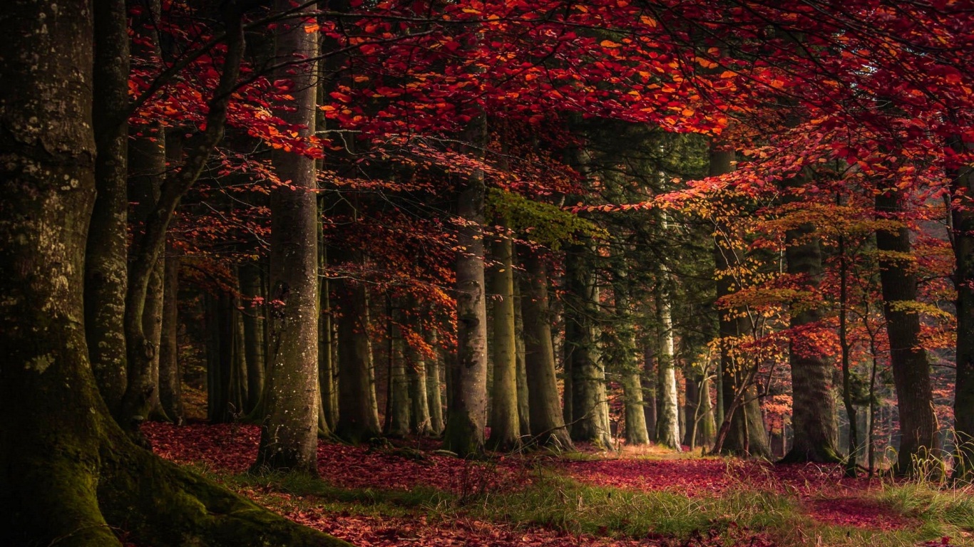 nature