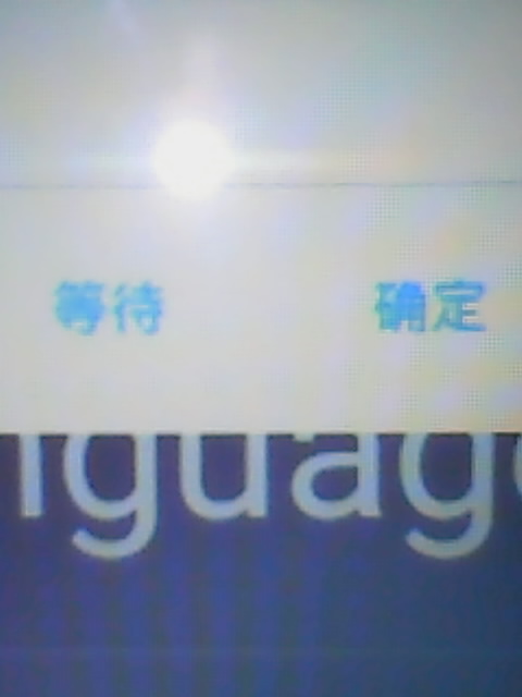 chinese2