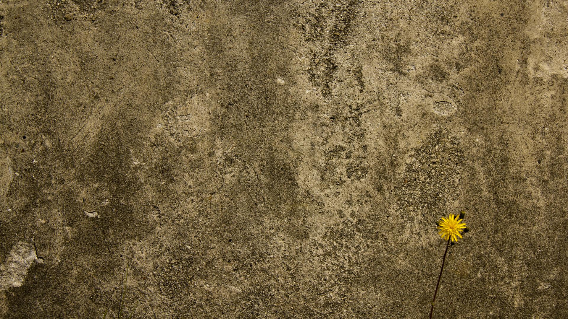 wall1920x1080