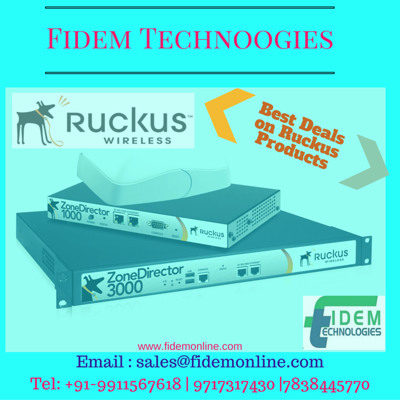 Wireless Access Points and Controller Ruckus