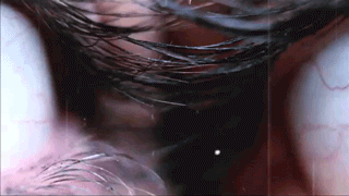 v.gif