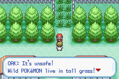 1691-PokemonLeafGreenUIndependent_11.png