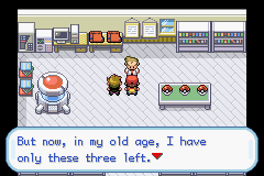 1691-PokemonLeafGreenUIndependent_12.png