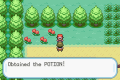 1691-PokemonLeafGreenUIndependent_23.png