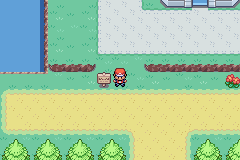 1691-PokemonLeafGreenUIndependent_30.png