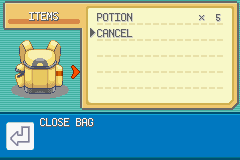 1691-PokemonLeafGreenUIndependent_76.png
