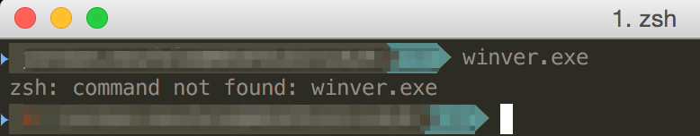 winver