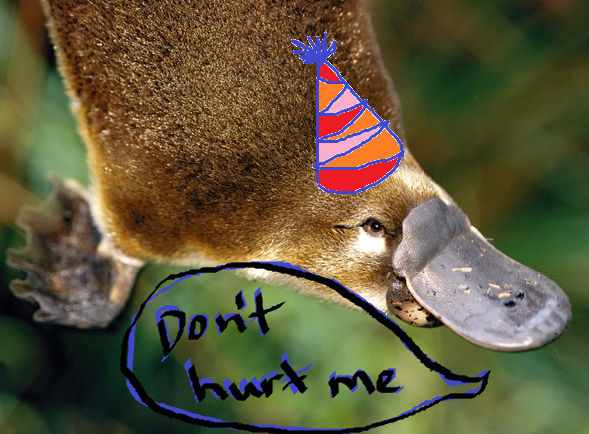 platypuspartyhat