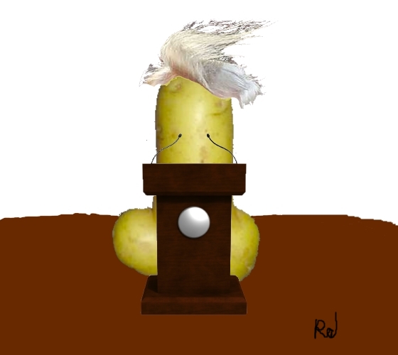 potatop1.jpeg