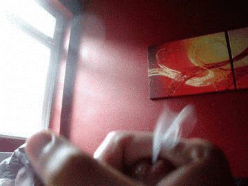 tumblr_nanrx50BEk1qgtt2oo4_400.gif