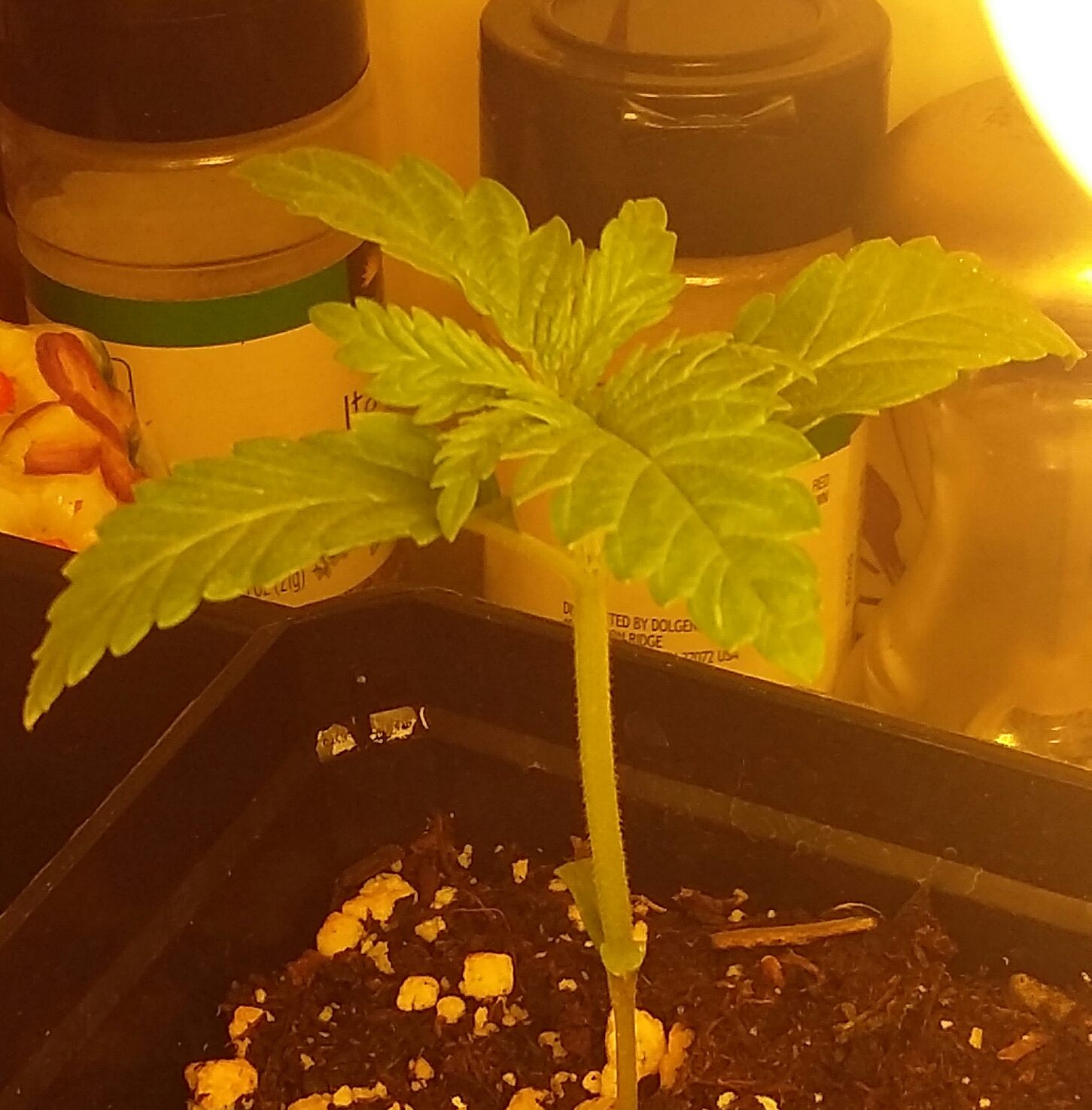 20160319_201230-1.jpg