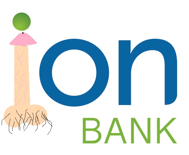 ION Bank