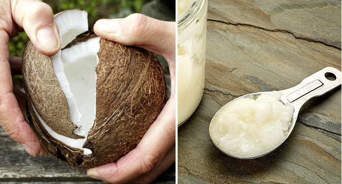 Coconut.jpg