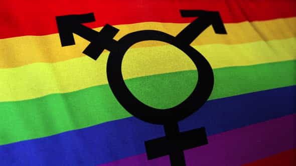 27309194-transgender-bisexual.jpg
