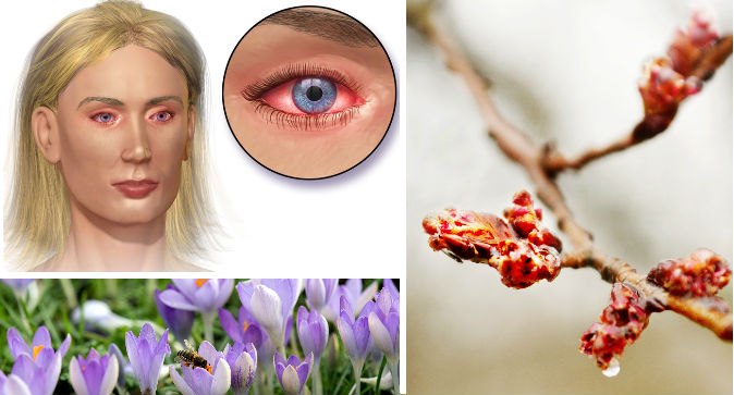 SPRING.jpg