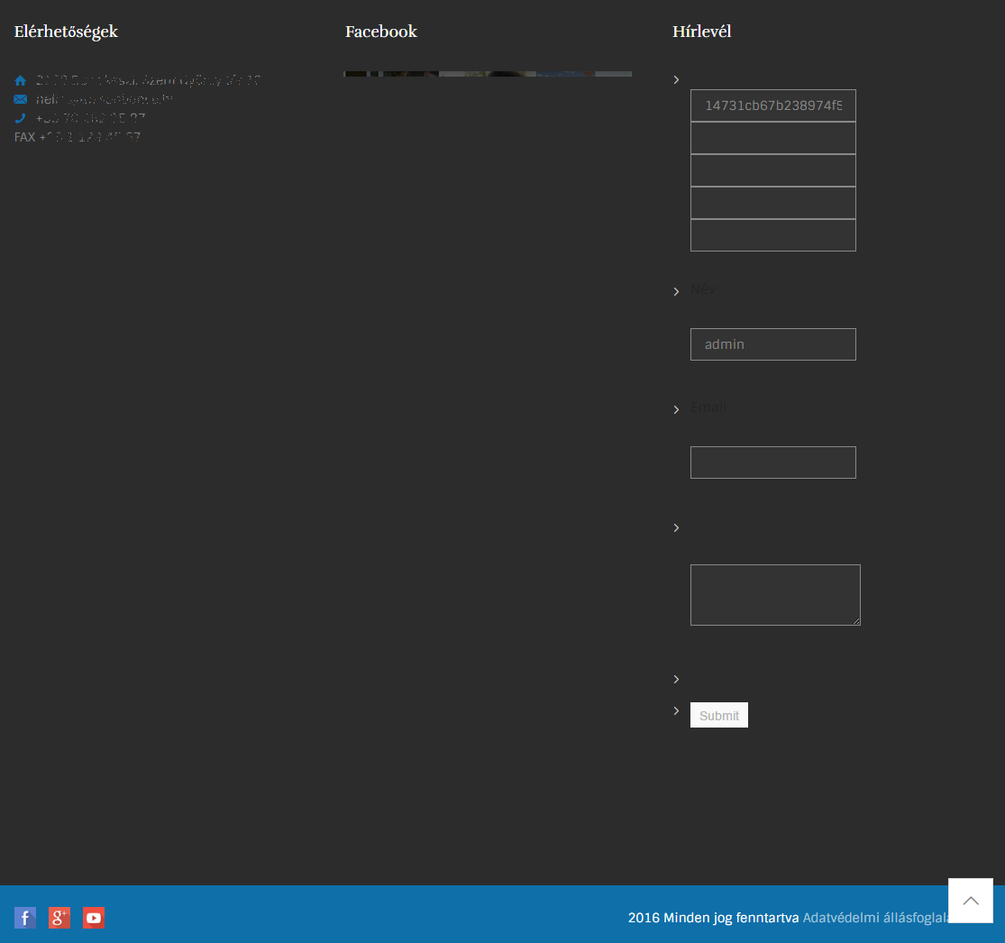 WordPress footer with newsletter subscription widget