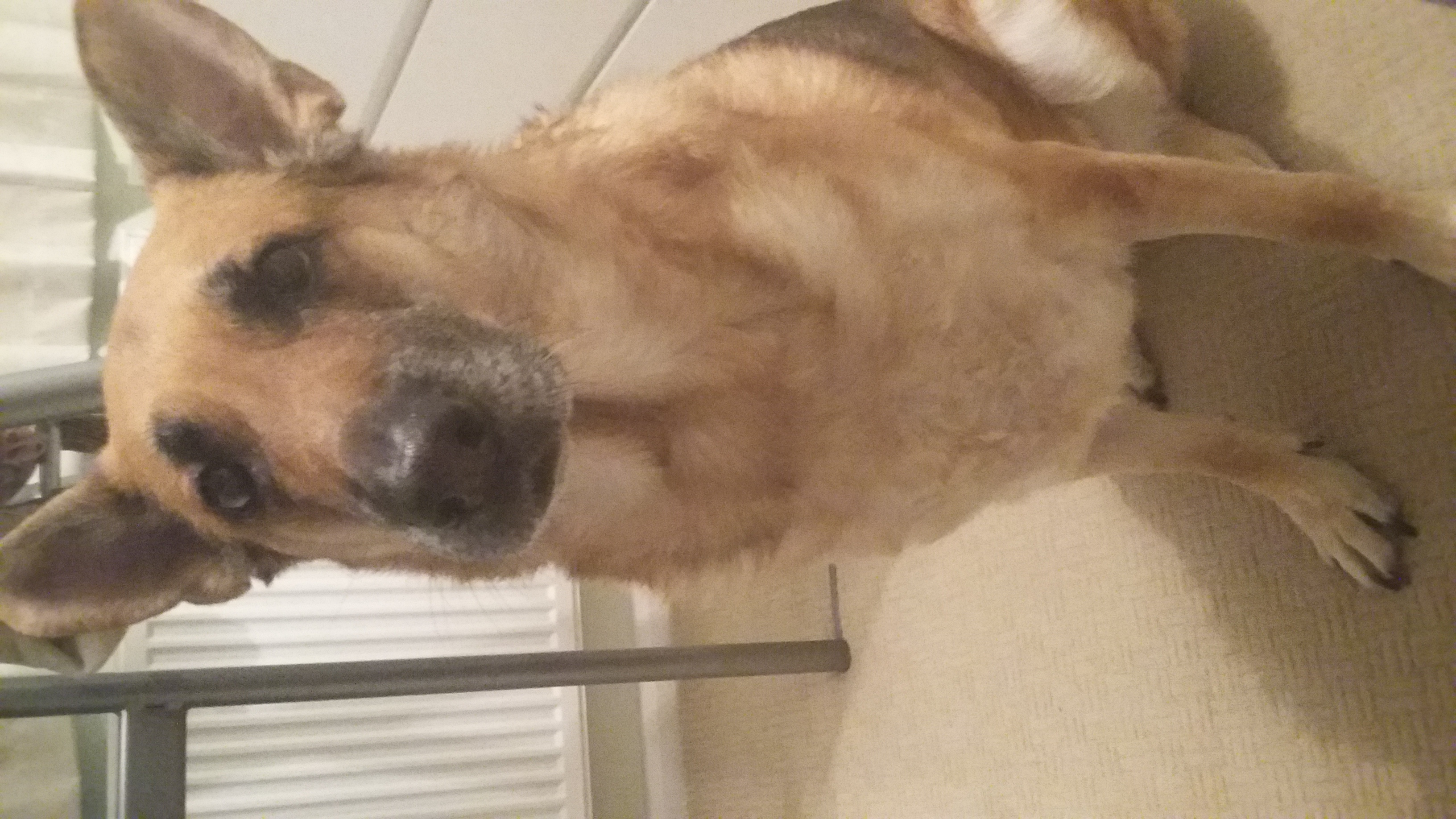 20160402_1957281.jpg