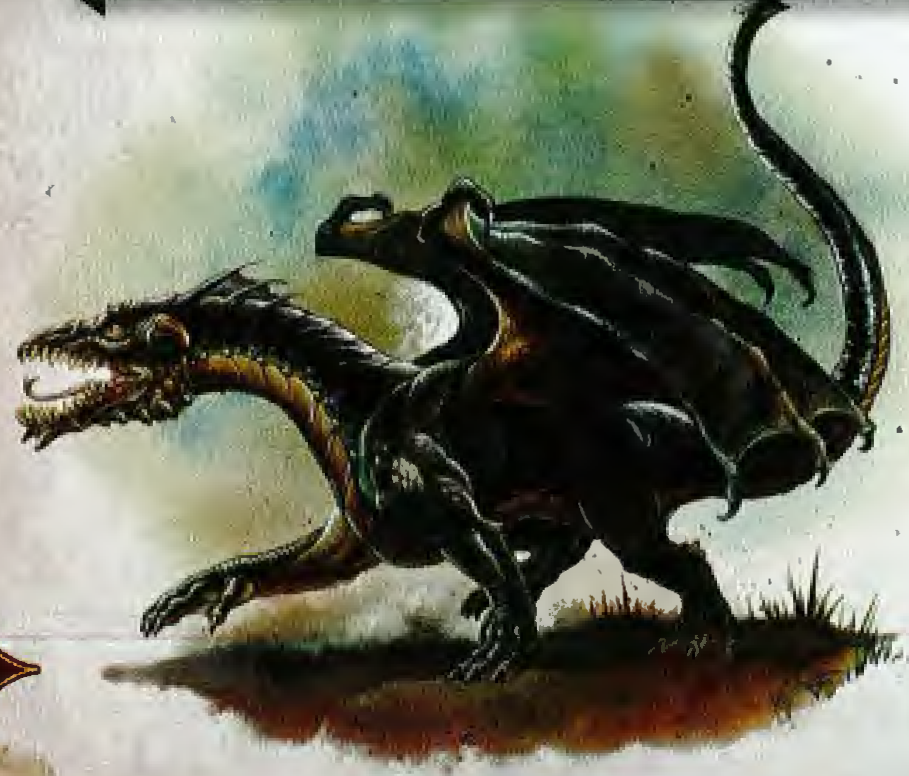 black wyrmling