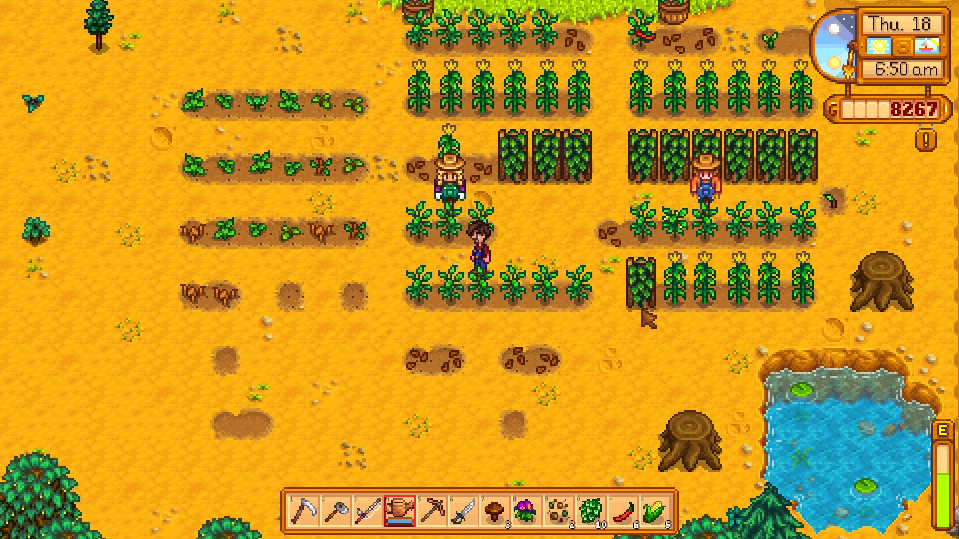 brown plants