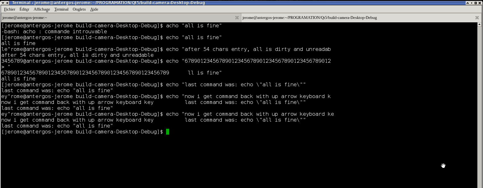 XFCE4 is BUGGED maybe