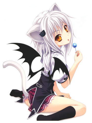 koneko_r.jpg