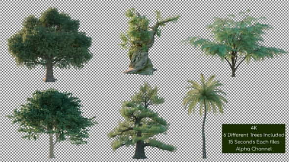 26266867-tree-pack.jpg