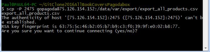 copy source file to local
