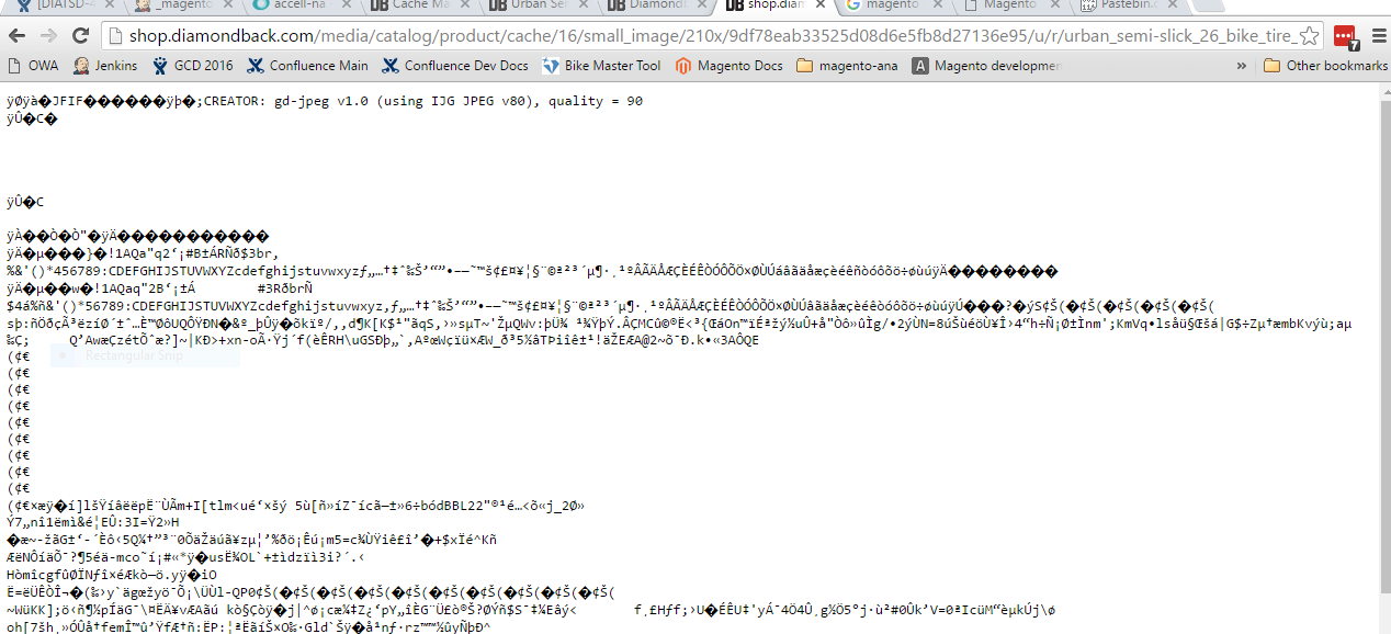 Example Image Not Rednering in Chrome