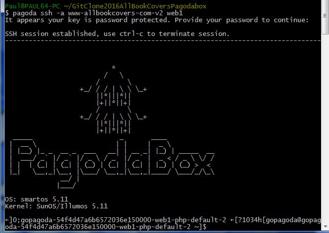 pagodaboxexeworking4-22-16solved1.JPG