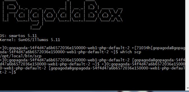 whichscpcommand4-16-16.JPG