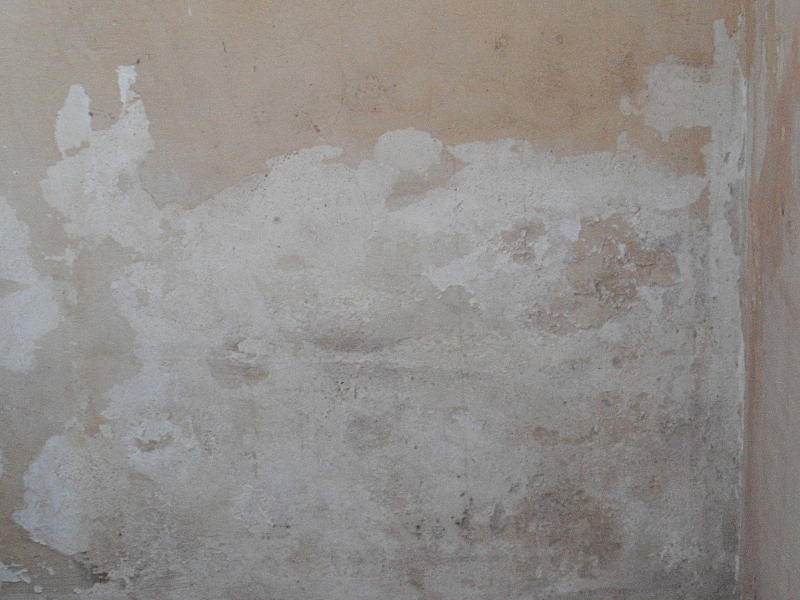 wall_2.jpg