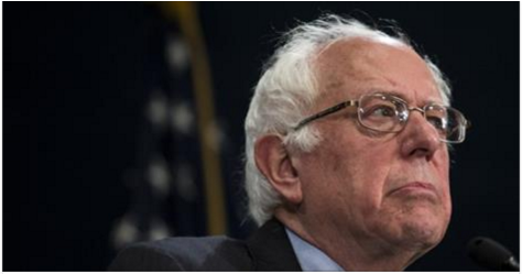 Bernie.PNG