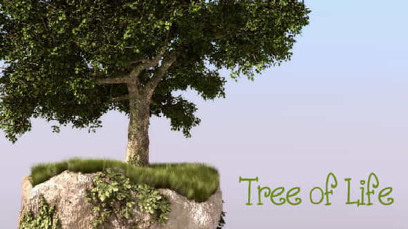 266336-tree-of.jpg