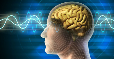 brain.png