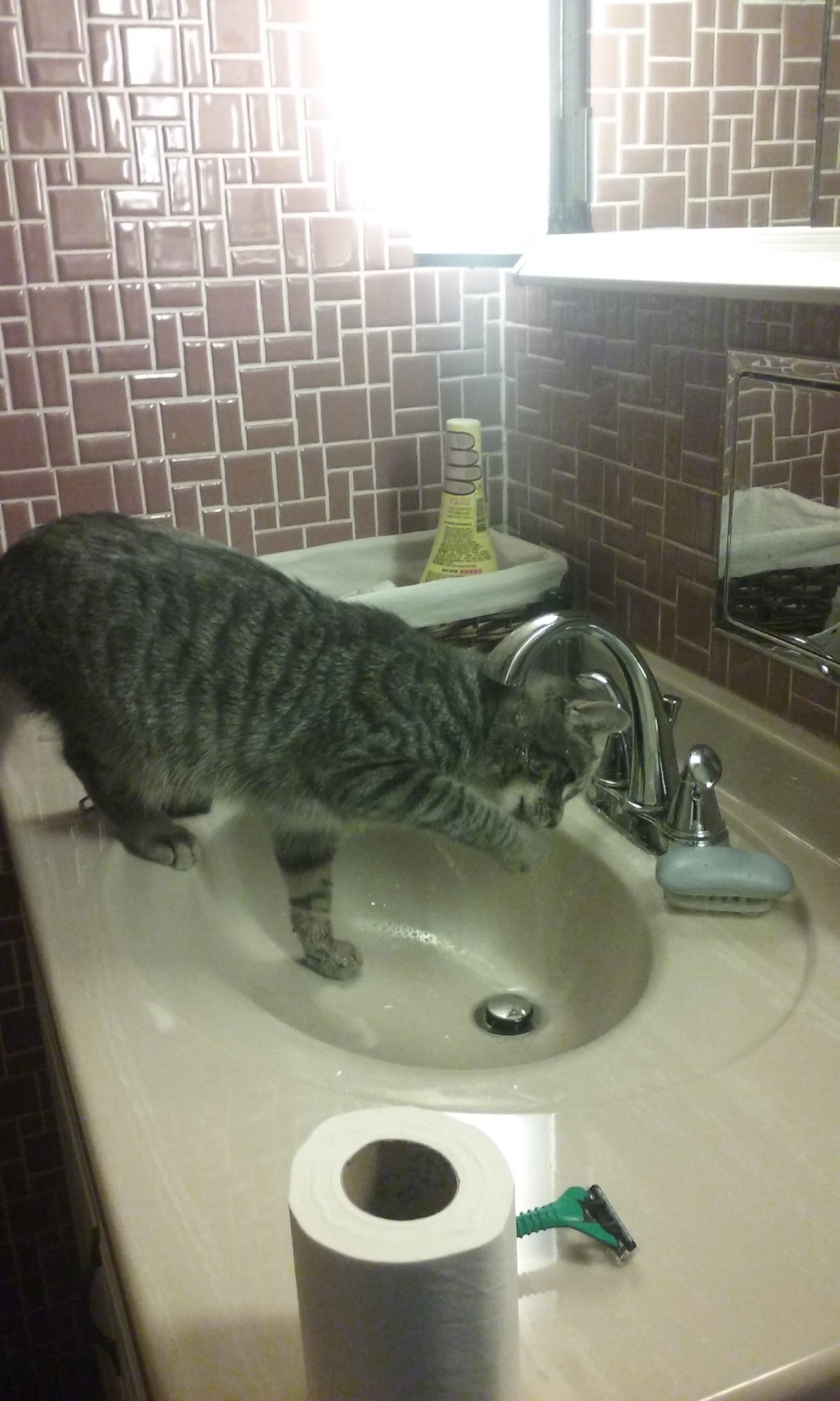 Sink