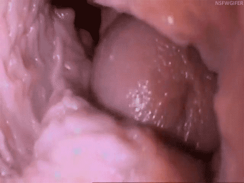 tumblr_nd2ppmDjXR1s4yp6oo1_500.gif