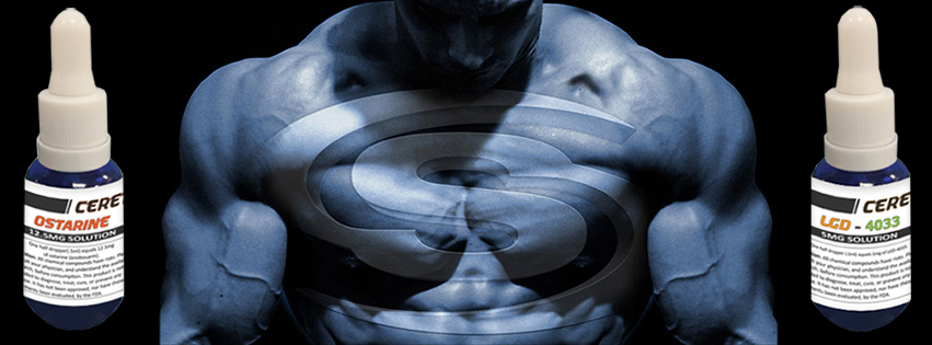 sarms-mexico-banner-fb.jpg