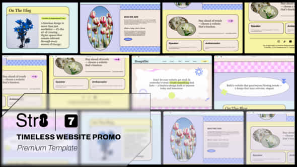 60204999-timeless-website.jpg